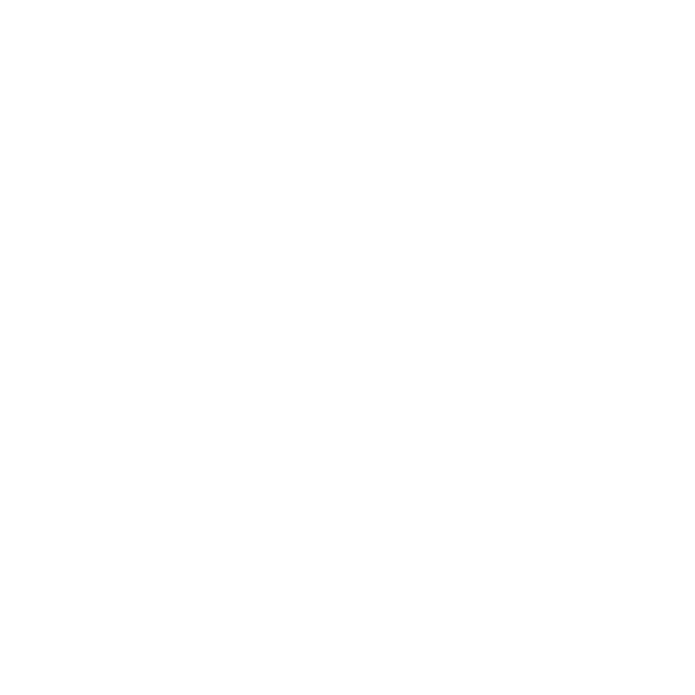 04 genetec