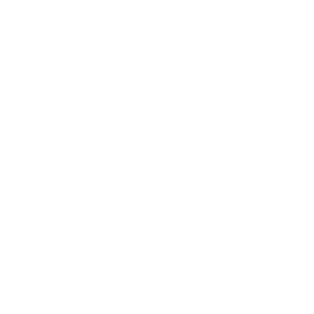 05 iss