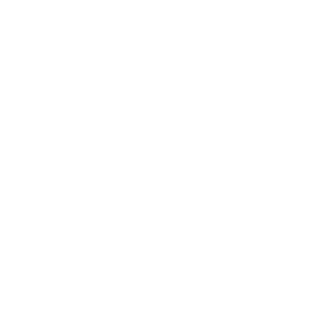 logo axis